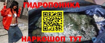 шишки Краснокаменск