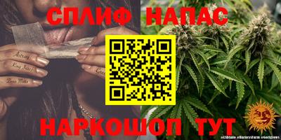 ГАЛЛЮЦИНОГЕННЫЕ ГРИБЫ Краснознаменск