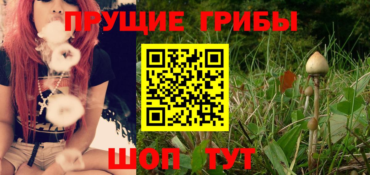 Псилоцибиновые грибы мицелий  где продают наркотики  Арзамас  Вход с VPN 